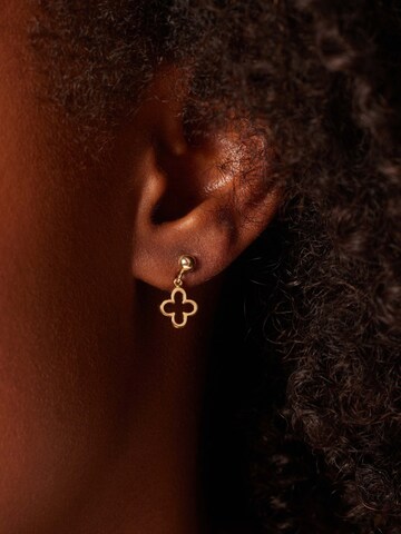 Boucles d'oreilles 'Chic ' Lucardi en or : devant