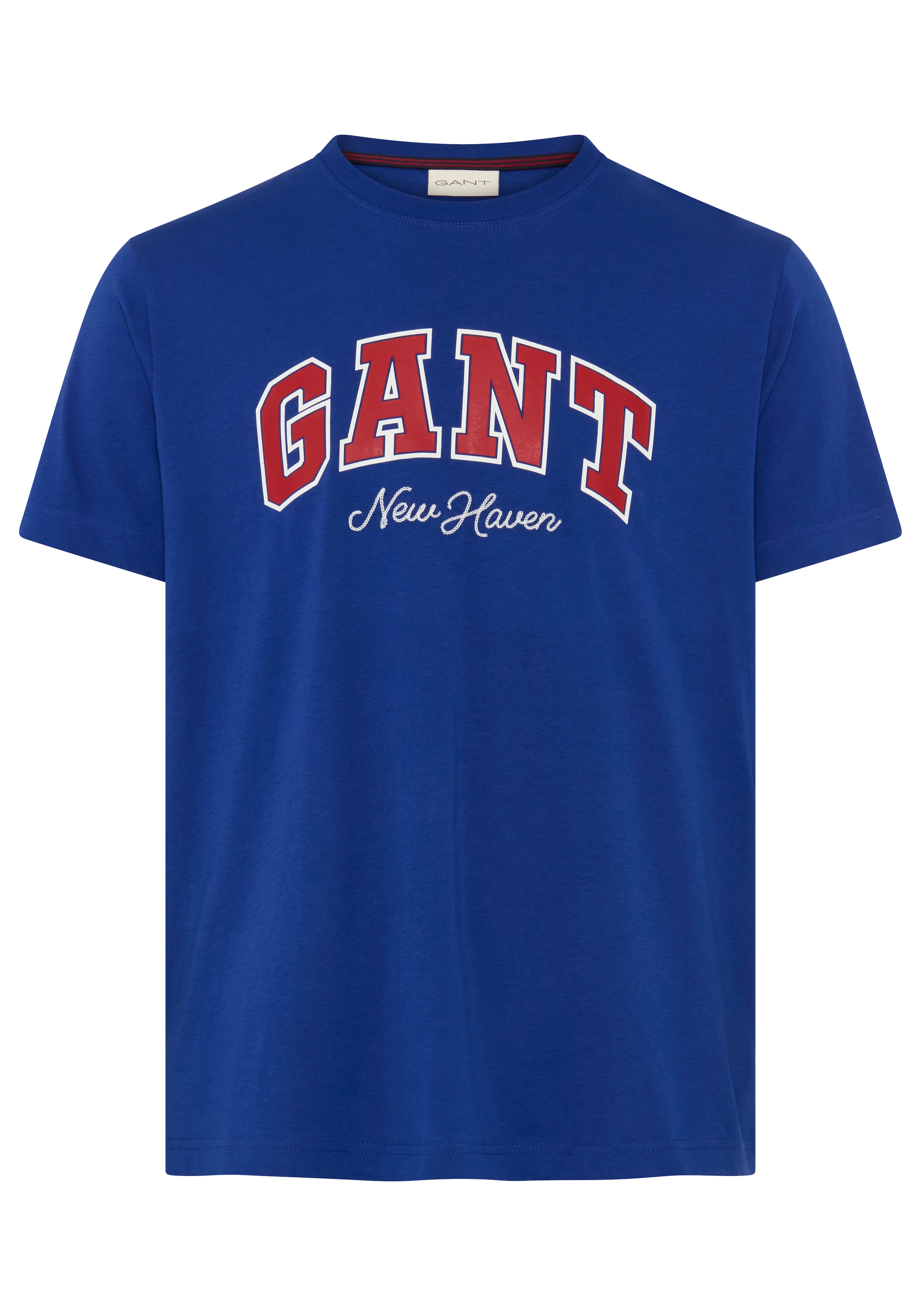 GANT Shirt in Blue: front