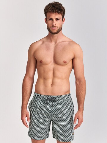 Shiwi Swimming shorts 'Hammam' in Green: front