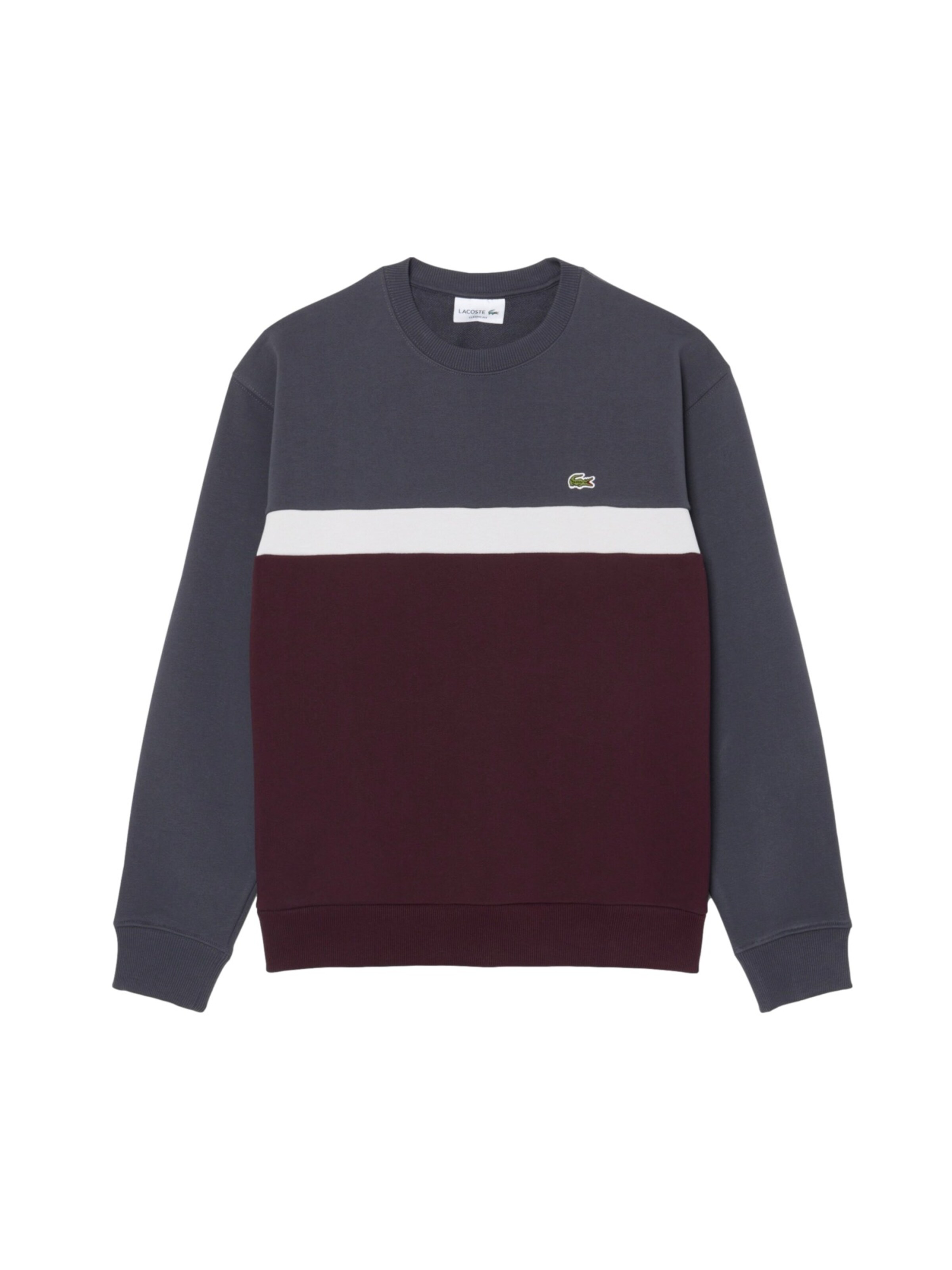 Felpa di LACOSTE in grigio: frontale