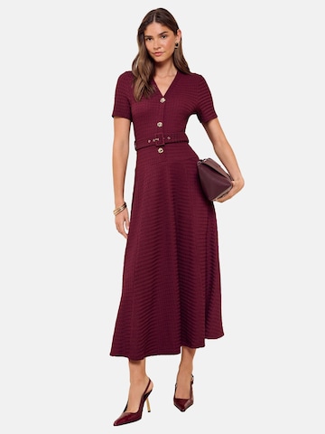 Friends Like These Kleid in Rot: Vorderseite