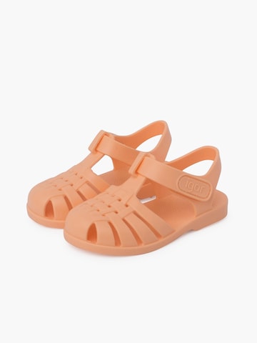 Claquettes / Tongs IGOR en orange