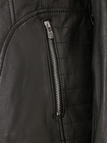 Jilani Tussenjas 'Zinnia' in Zwart