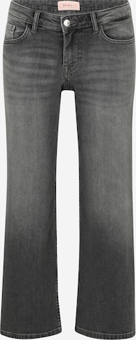 Only Petite Regular Farkut 'ONLJUDY' värissä harmaa: etupuoli