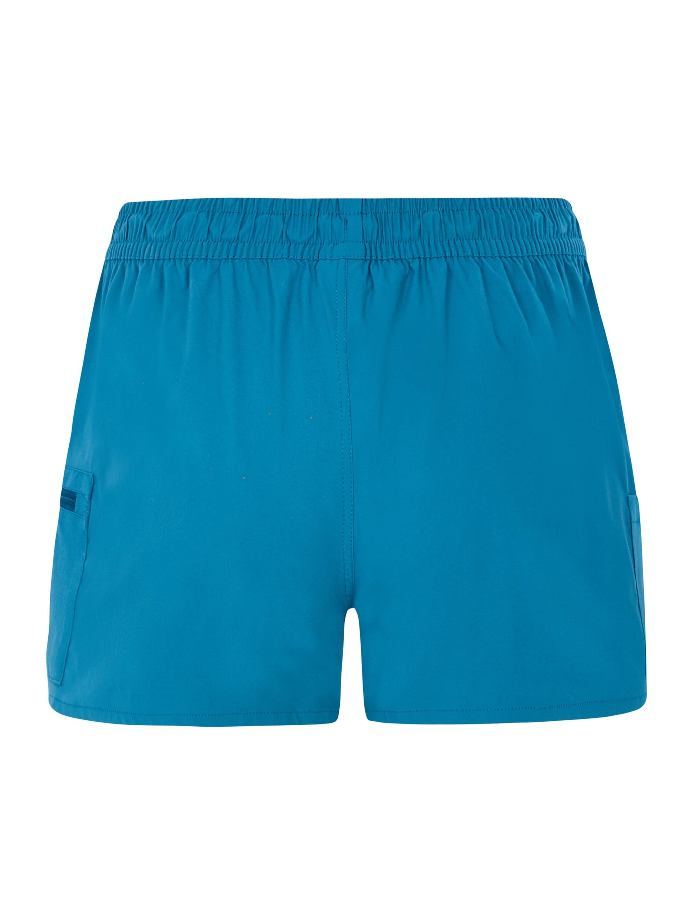 PROTEST Board shorts 'PRTBoto' in Blue