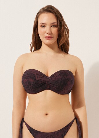 CALZEDONIA T-shirt Bikini Top 'Dark Animalier' in Brown