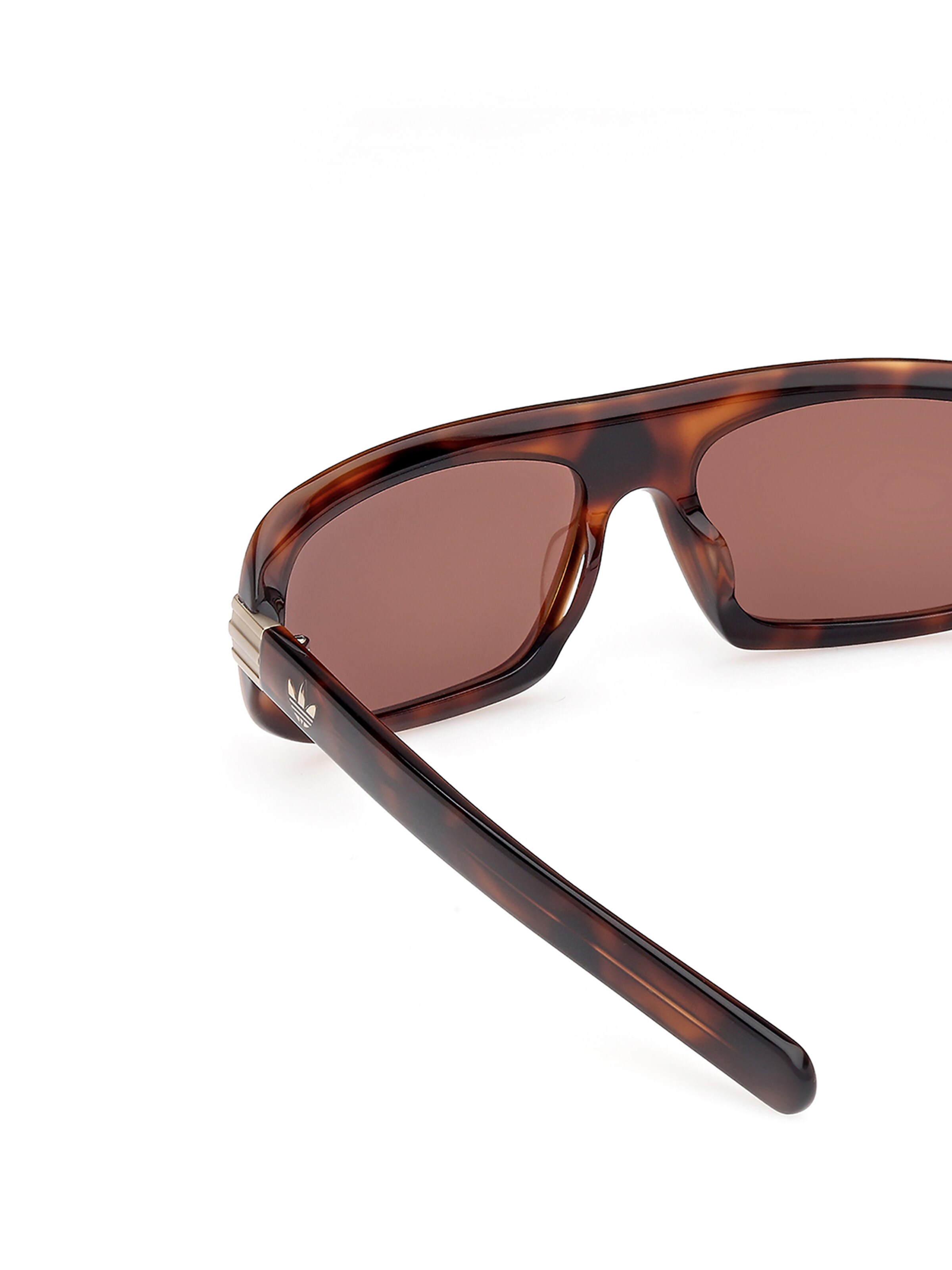 ADIDAS ORIGINALS Sunglasses in Brown
