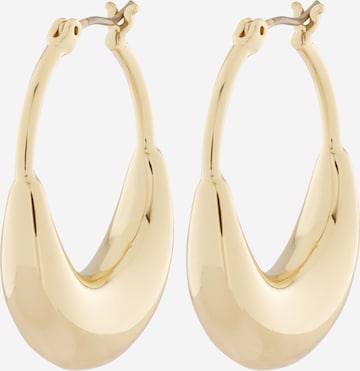 zelts DKNY Auskari: no priekšpuses