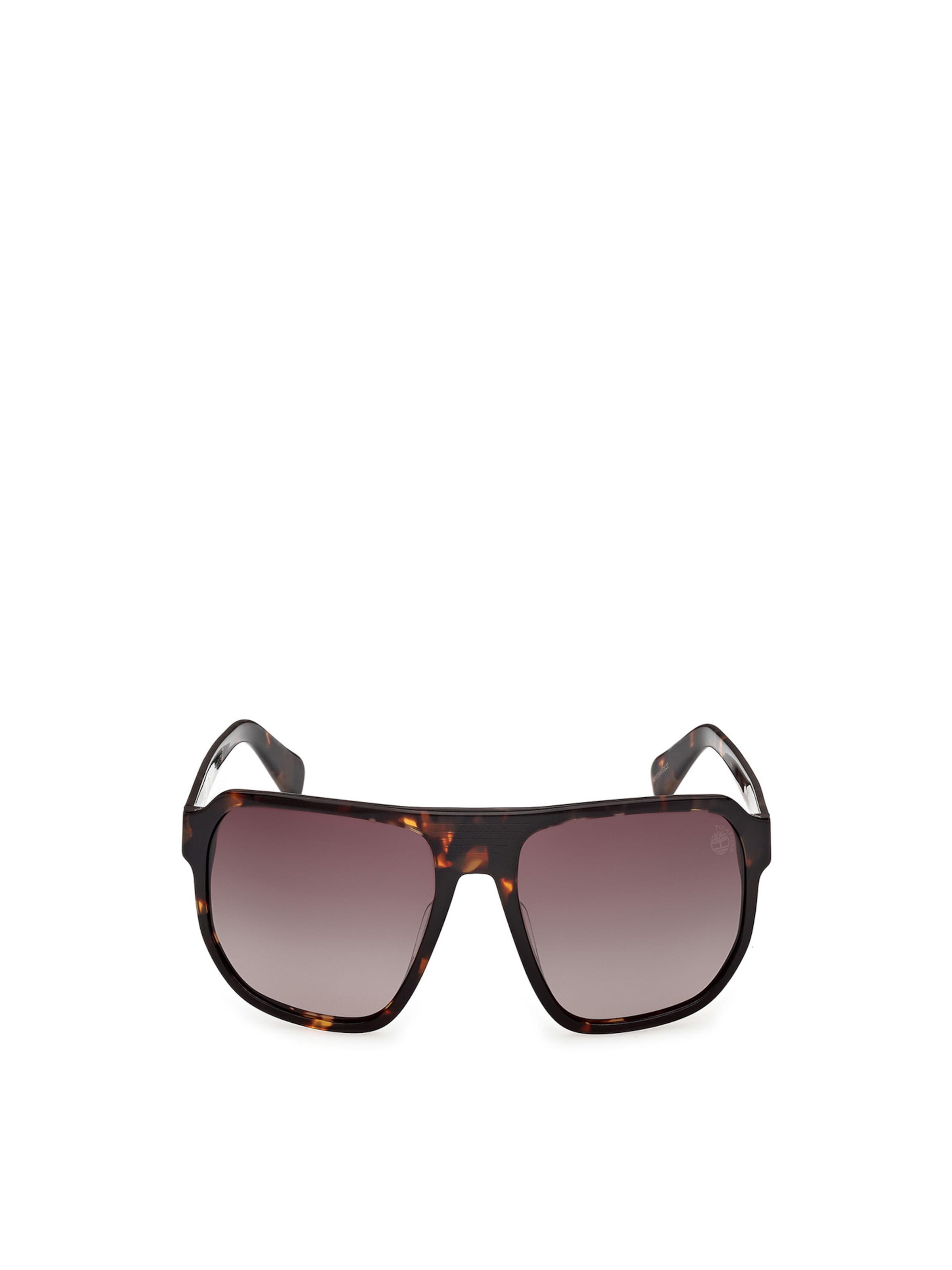 Occhiali da sole di TIMBERLAND in marrone