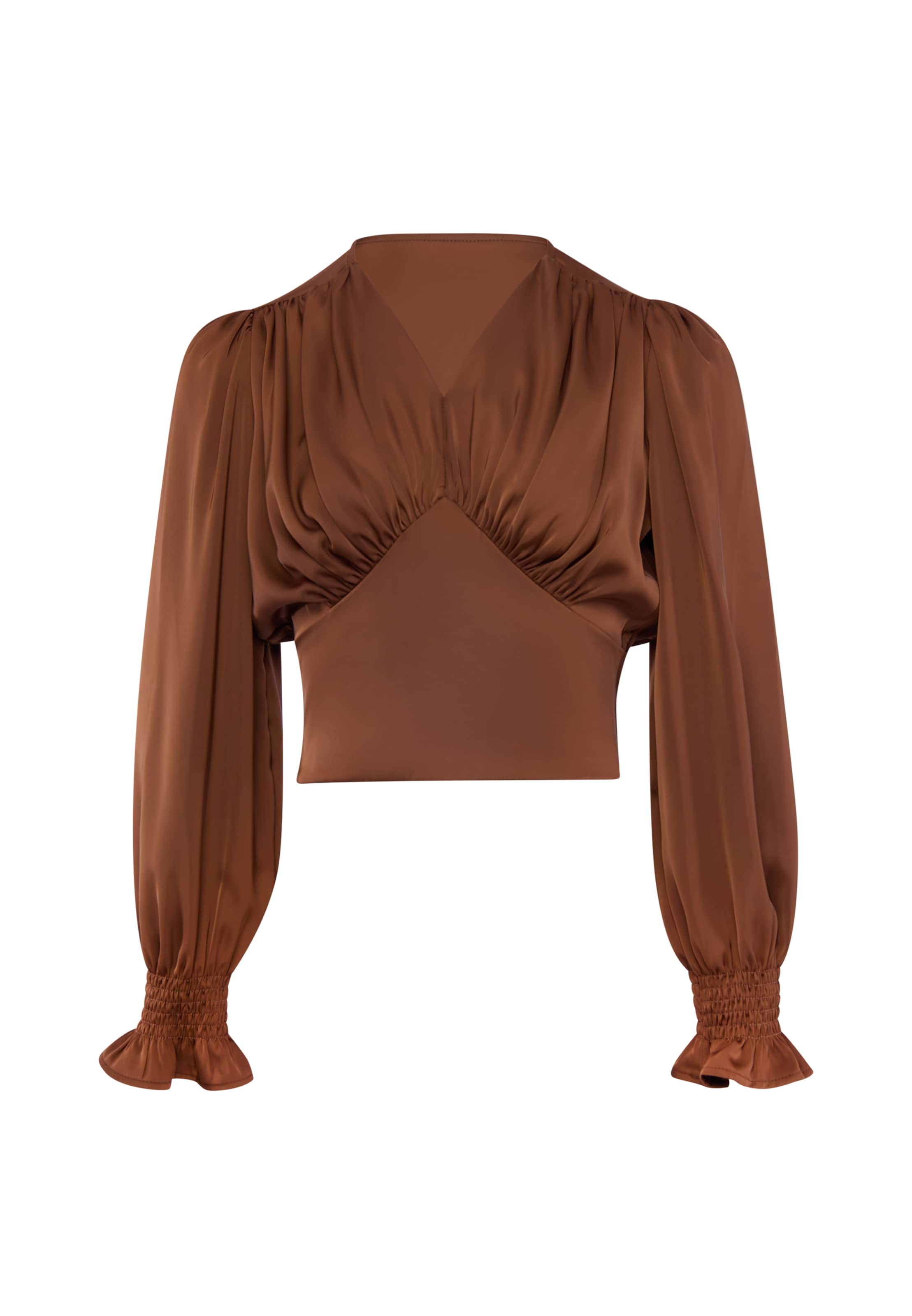 usha BLACK LABEL Blouse in Brown: front