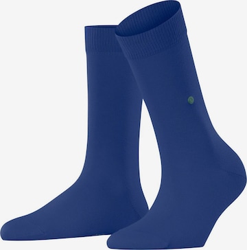 BURLINGTON Socks in Blue