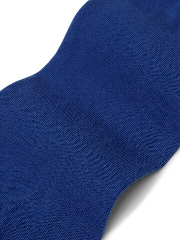 Von Jungfeld Socks 'Colour' in Blue