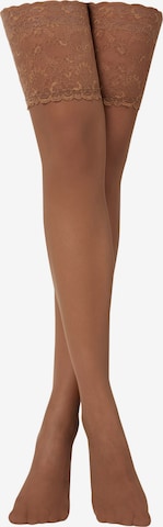 CALZEDONIA Hold-up stockings in Brown: front