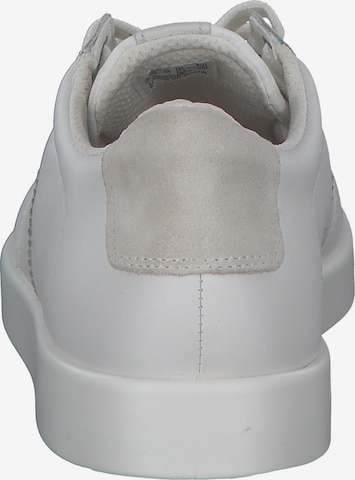 ECCO Platform trainers in White