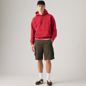 LEVI'S ® tavaline Klapptaskutega püksid 'Fishing Cargo Shorts', värv pruun