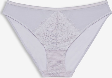 ESPRIT Panty in Purple: front