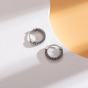 FIRETTI Earrings in Grey