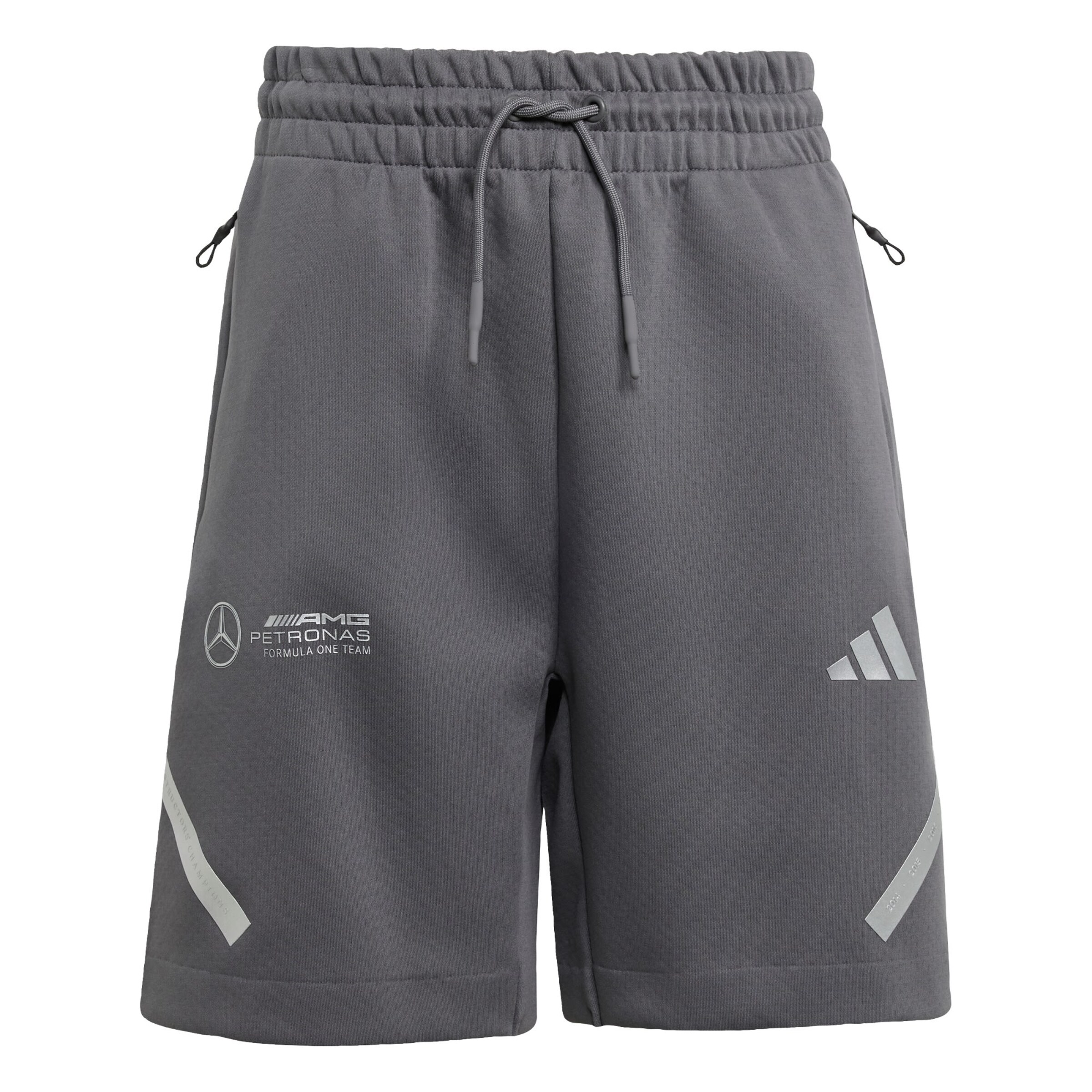 Loosefit Pantalon de sport 'Mercedes - AMG Petronas Formula One Team' ADIDAS PERFORMANCE en gris : devant