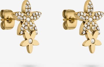 Tamaris Earrings in Gold: front