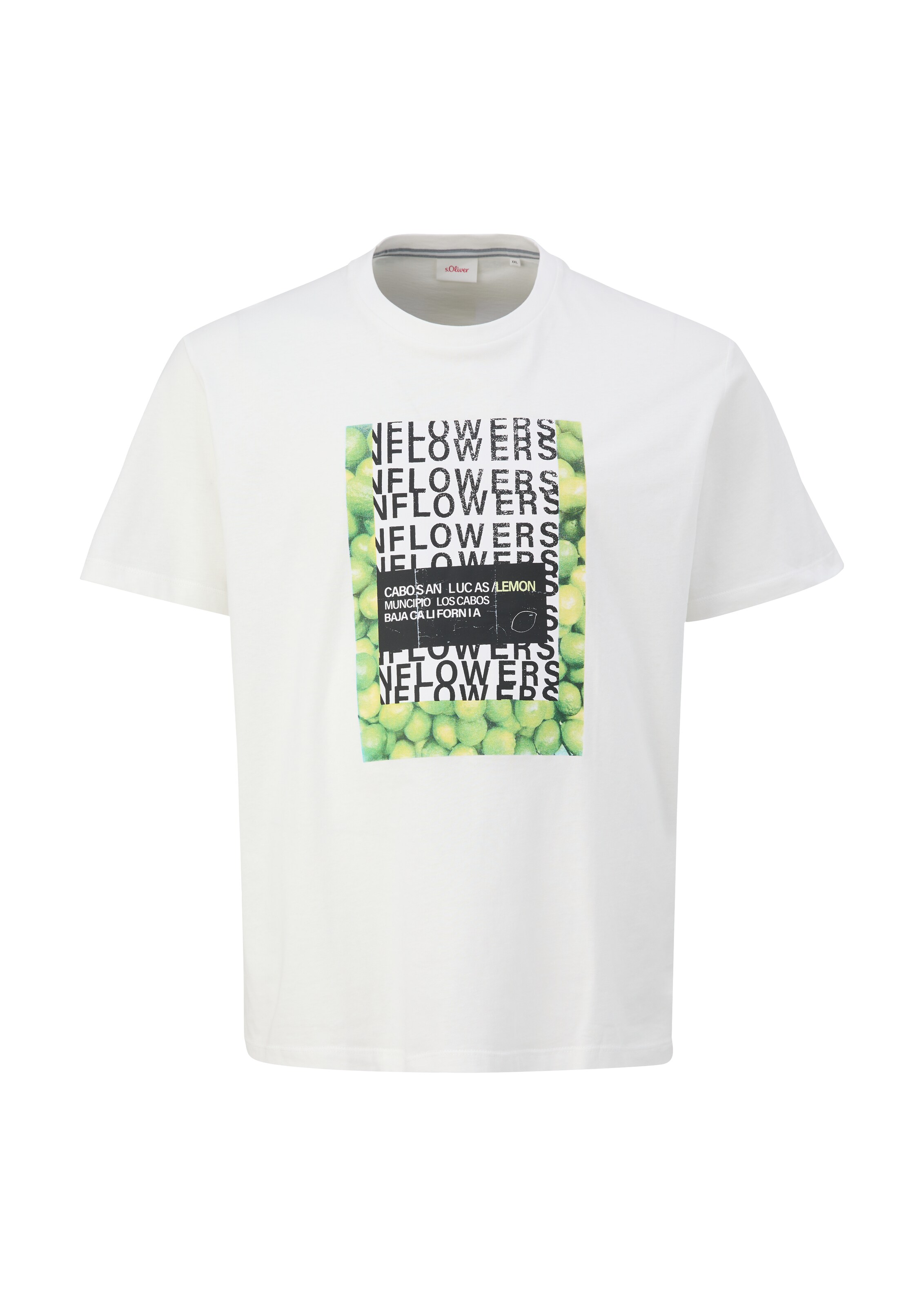 s.Oliver Men Big Sizes Shirt in White: front
