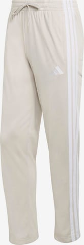 ADIDAS SPORTSWEAR Παντελόνι φόρμας σε γκρι: μπροστά
