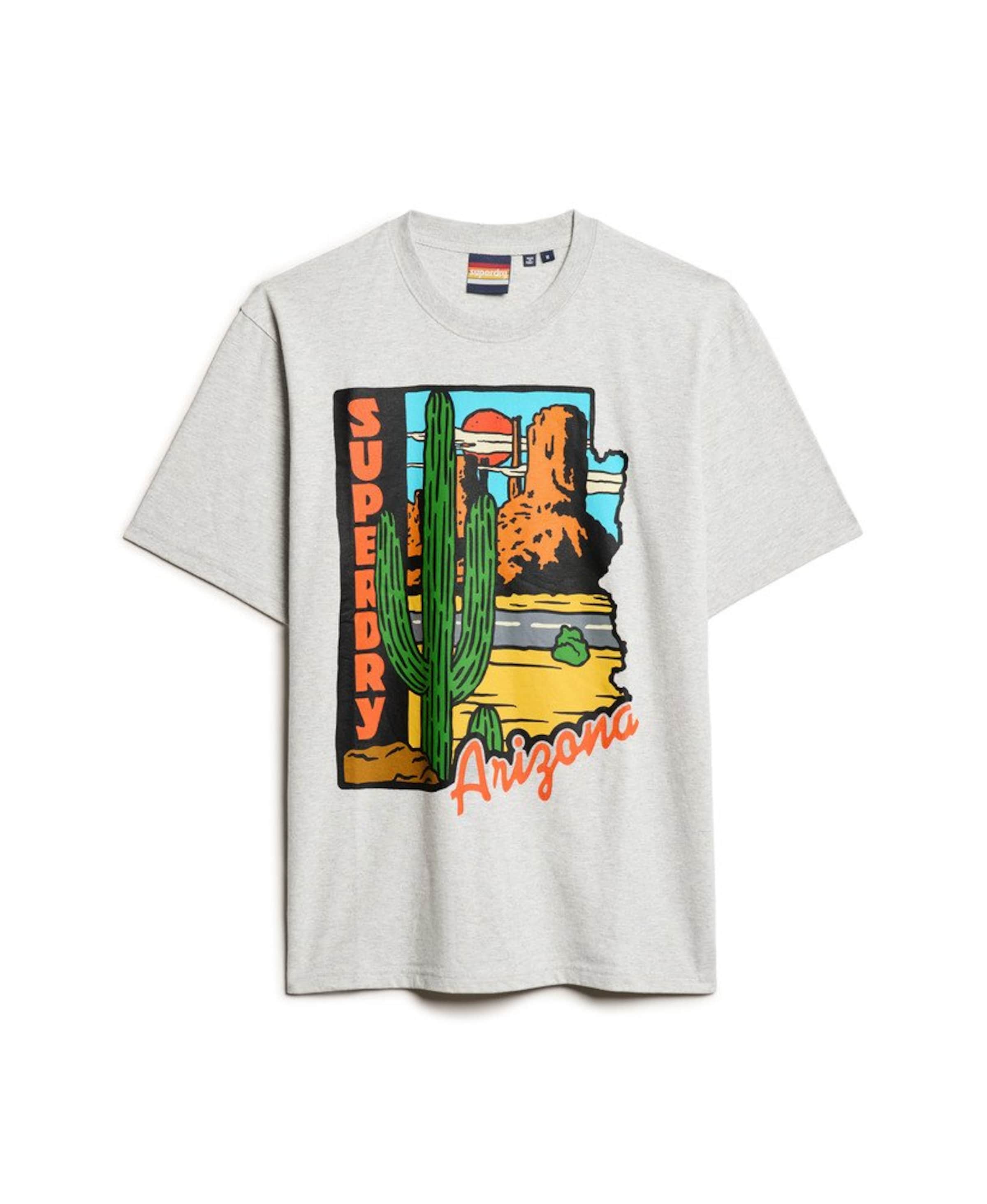 Superdry T-shirt oversize en gris clair / mélange de couleurs, Vue avec produit