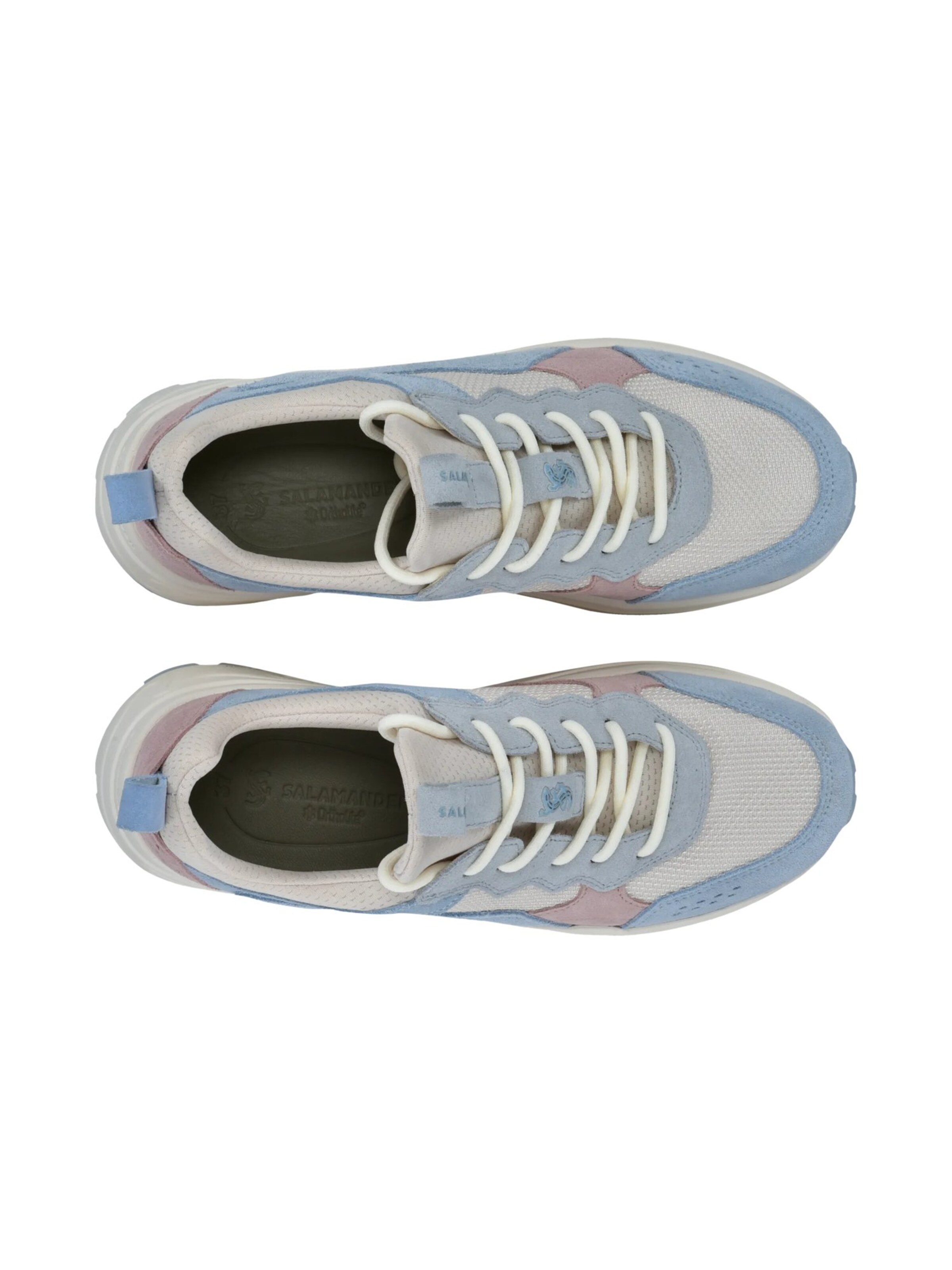 SALAMANDER Низкие кроссовки в Синий