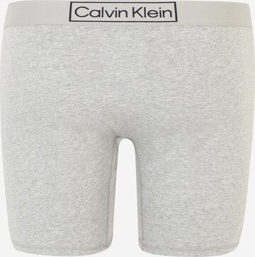 Calvin Klein Underwear Plus Bokserki w kolorze szary