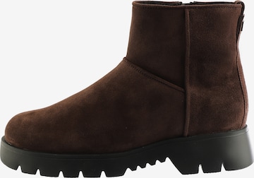 Bottines 'ANTON' Högl en marron : devant