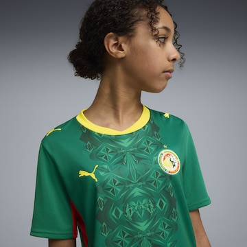 PUMA Functioneel shirt 'Senegal 2026' in Groen