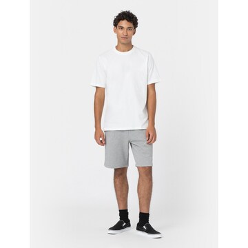 DICKIES Regular Hose 'MAPLETON' in Grau