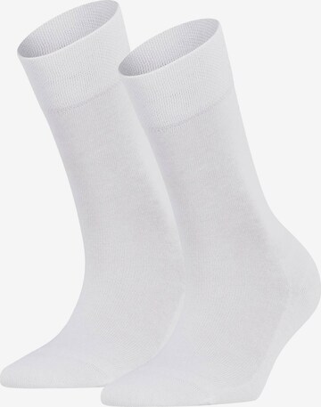 FALKE Socks in White: front