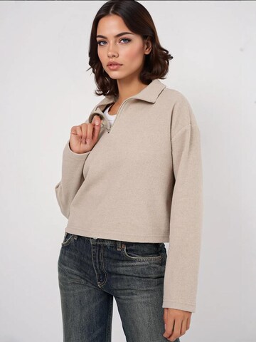Bigdart Pullover in Beige