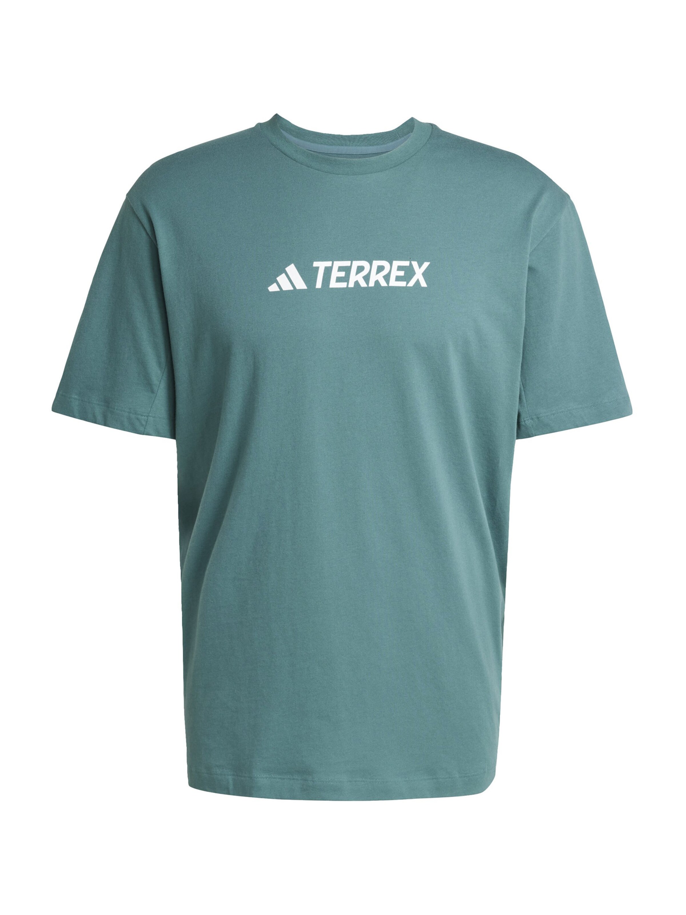 ADIDAS TERREX Функциональная футболка в Зеленый: спереди