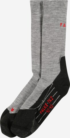 FALKE - Calcetines deportivos en gris: frente