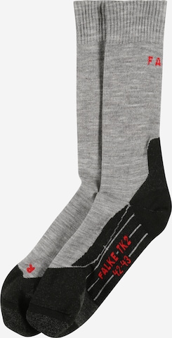 Chaussettes de sport FALKE en gris : devant