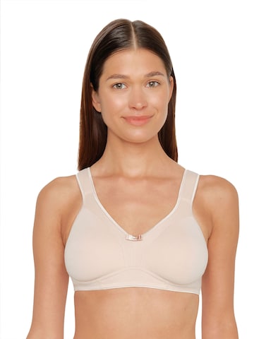 SUSA BH 'Basics' in Braun