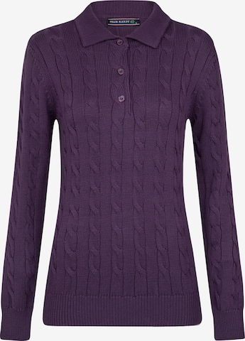 Pull-over Felix Hardy en violet : devant