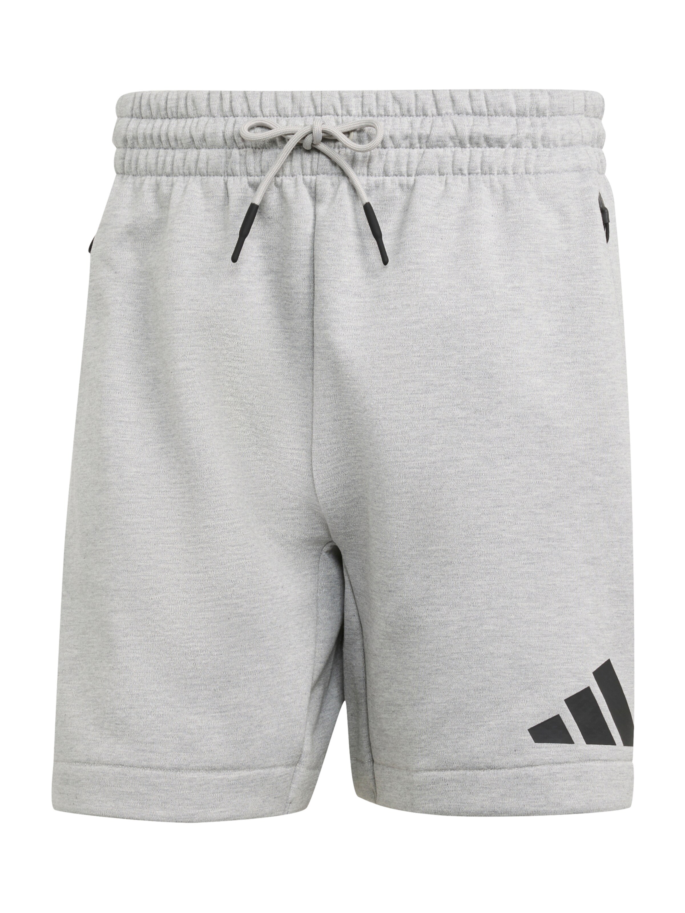 ADIDAS SPORTSWEAR Παντελόνι φόρμας 'Z.N.E.' σε γκρι: μπροστά