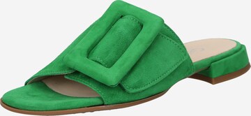 GABOR Mules in Green: front