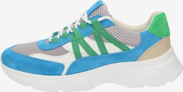 SIOUX Sneakers in Blue
