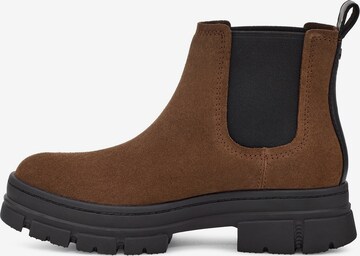 UGG Chelsea Boots 'Ashton' in Braun: predná strana