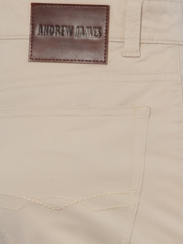 Regular Pantalon Andrew James en beige