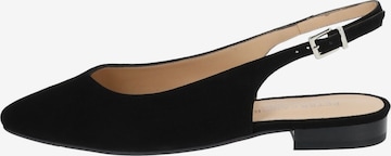 PETER KAISER Ballet Flats with Strap in Black