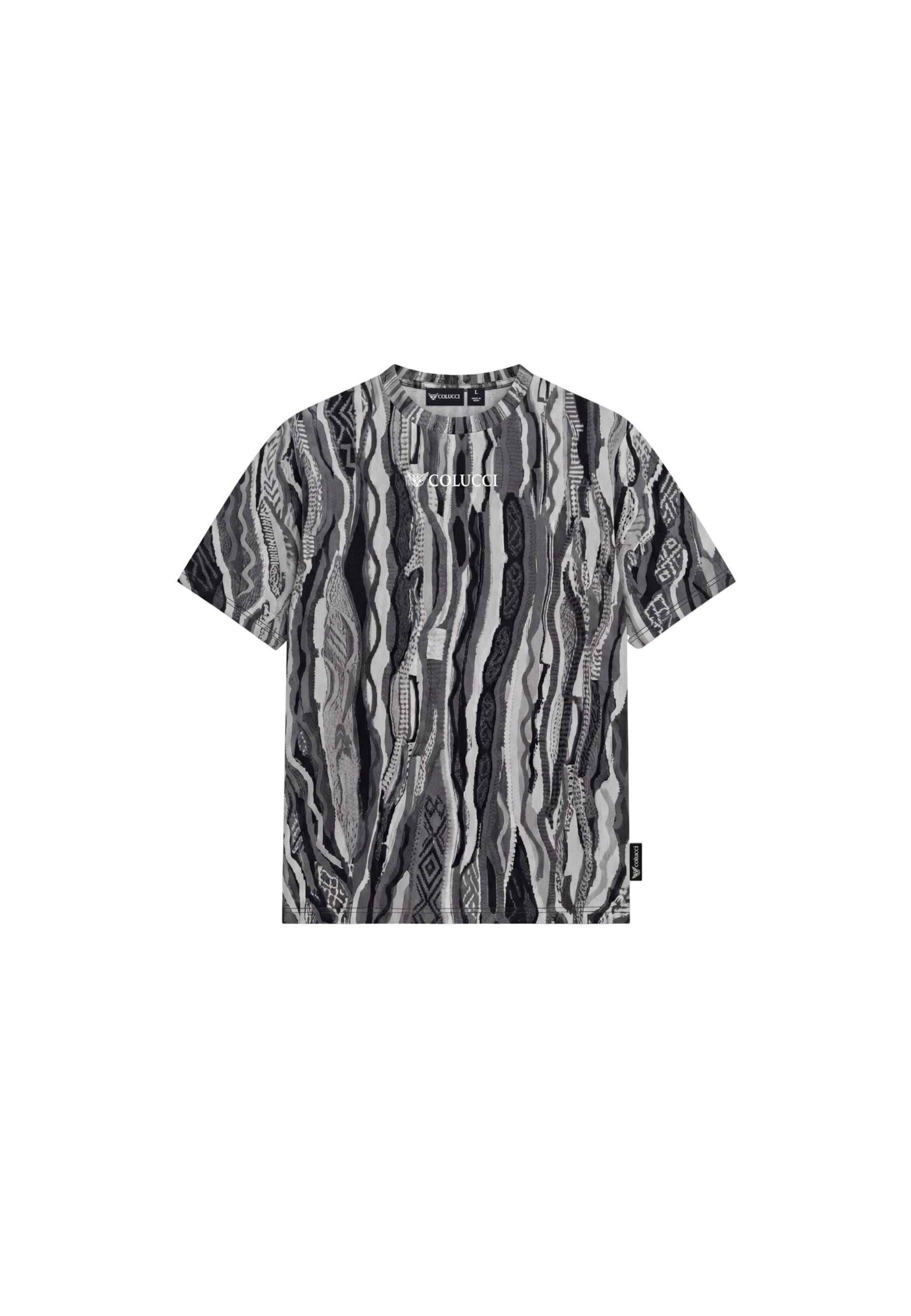 Colucci T-Shirt in Grau: Vorderseite