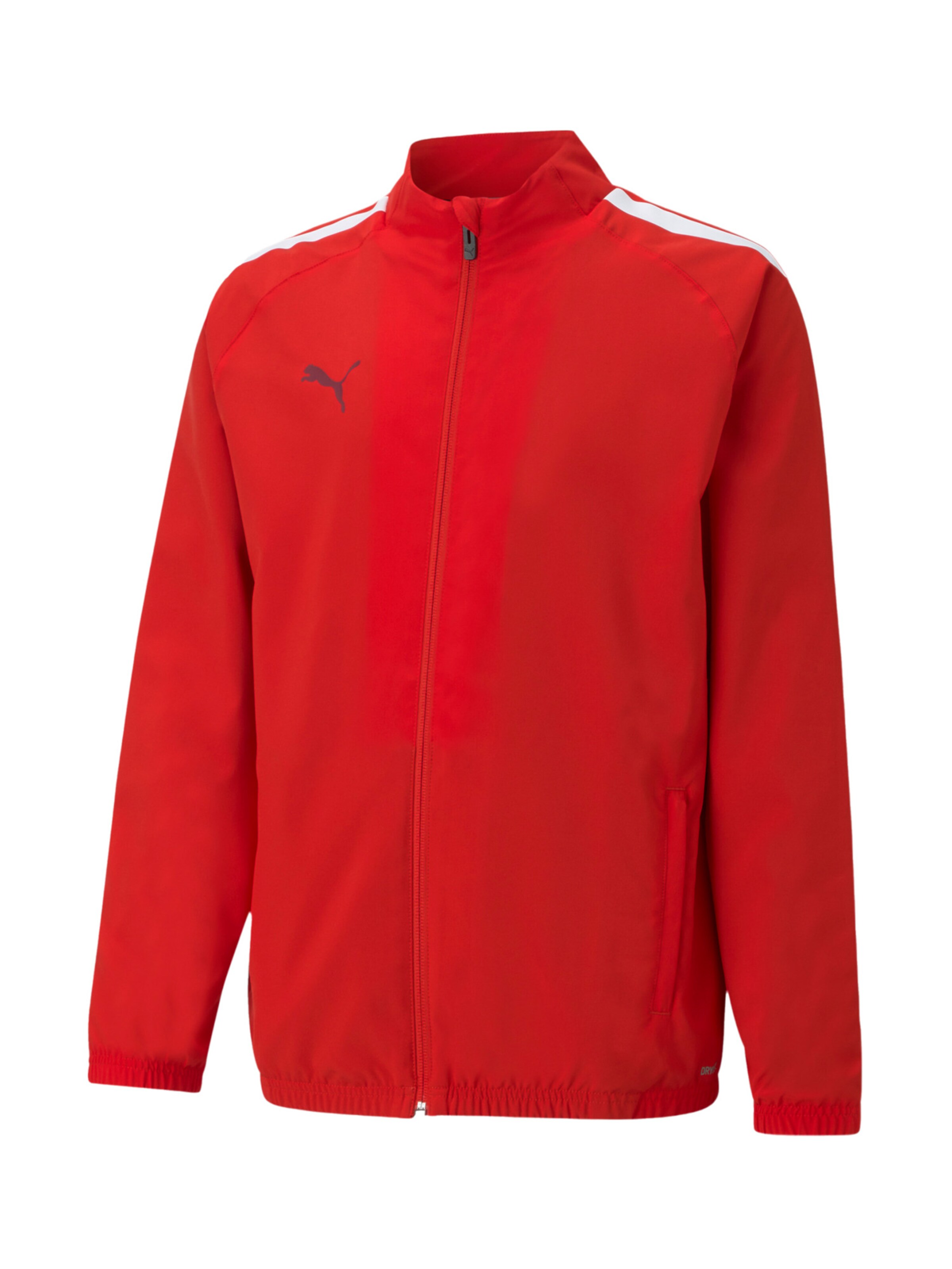 PUMA Sportjacke 'Team Liga' in Rot: Vorderseite
