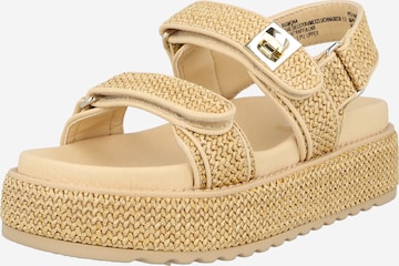 Sandales 'Bigmona' STEVE MADDEN en marron : devant