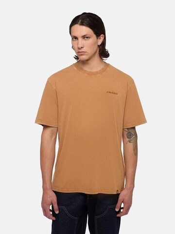 DICKIES Футболка 'PLENTYWOOD' в Коричневый: спереди