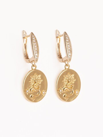 Secret Stones Earrings 'Gold snake' in Gold