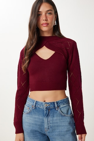 Happiness İstanbul Pullover in Rot: Vorderseite